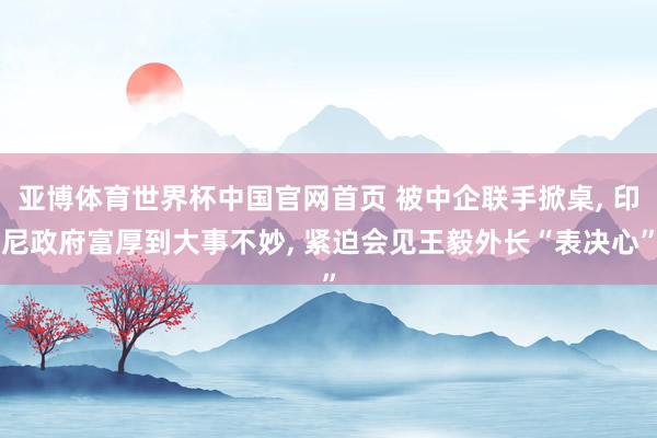 亚博体育世界杯中国官网首页 被中企联手掀桌, 印尼政府富厚到大事不妙, 紧迫会见王毅外长“表决心”