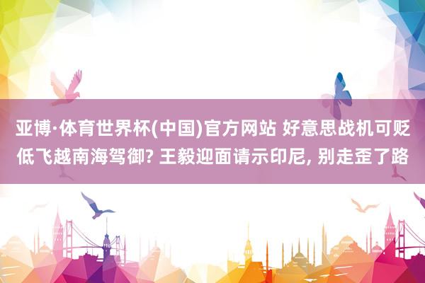亚博·体育世界杯(中国)官方网站 好意思战机可贬低飞越南海驾御? 王毅迎面请示印尼, 别走歪了路