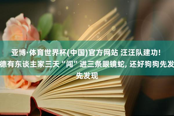 亚博·体育世界杯(中国)官方网站 汪汪队建功! 建德有东谈主家三天“闯”进三条眼镜蛇, 还好狗狗先发现