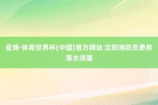 亚博·体育世界杯(中国)官方网站 沈阳消防员勇救落水须眉