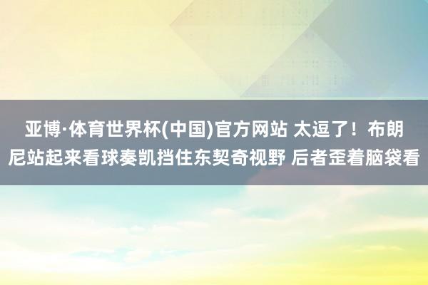 亚博·体育世界杯(中国)官方网站 太逗了！布朗尼站起来看球奏凯挡住东契奇视野 后者歪着脑袋看
