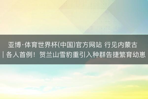 亚博·体育世界杯(中国)官方网站 行见内蒙古 | 各人首例！贺兰山雪豹重引入种群告捷繁育幼崽