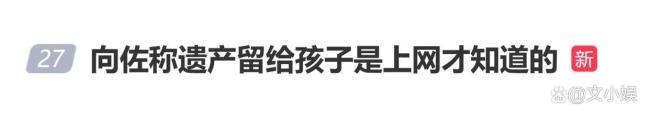 向佐称遗产留给孩子是上网才知说念的